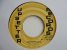 THE WAILERS Downpresser UPSETTER Lee Perry + Roots Reggae 7