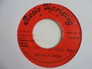 HORACE ANDY  Trying To Conquer Me ROSIE 80's Roots Reggae 7