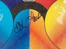 Beatles rock n roll music volume 2 stereo ( LP)