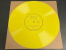 BEATLES Fanzine STRAWBERRY FIELDS MAGAZINE #40 Audio Issue 9” Flexidisc JOE POPE