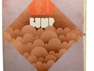 Bump ( Album LP 1970 Pioneer ) Original Psych Garage - Rare Pioneer Recordings