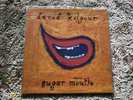David Kilgour • Sugar Mouth • Flying Nun Records • 1994 • The Clean