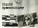 LIQUID - Spacemonkey - Vinyl (double 12