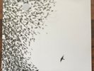 Wilco - Sky Blue Sky 2LP [Vinyl New] Gatefold Double Record Album Jeff Tweedy