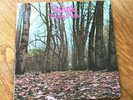 TWINK - Think Pink LP PSYCH italian reissue PRETTY THINGS TOMORROW vinyl 60s 70s