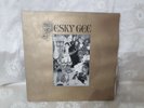 Pesky Gee ?– Exclamation Mark   / Vinyl LP /