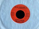 SUGARHILL GANG RARE 45 RAPPER'S DELIGHT VINYL RECORD SHORT LONG VERSION HIP HOP