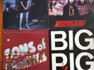 Divinyl’s Desperate, Angels Howling, Australian Crawl Sons of Beaches, Big Pig