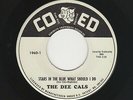 '60 R&B/DooWop DEE CALS Stars In the Blue/A Wonderful Day CO ED M- HEAR BOTH NOW