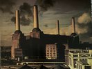 Pink Floyd Animals Vinyl Lp Record W/ Original Insert