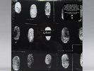 GRAY - Shades Of - RSD BLACK FRIDAY 2019 3-LP NEW SEALED