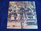 Steeleye Span - Hark  The Village Wait 1970 UK LP RCA VICTOR 1st with Insert