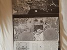 Rudimentary peni -Death church orgnl vinyl LP see dscription.Superb anarcho punk