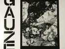 Gauze - Equalizing Distort 12