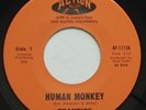 Garage Psych FRANTICS Human Monkey / Someday NM ACTION Moby Grape 45 MP3 HEAR