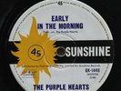 The Purple Hearts - Early In The Morning RARE 1966 Sunshine Vinyl 45rpm