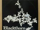 BLACKTHORN - S/T 1977 UK WHM ORIG LP PRIVATE BEAUTIFUL FEMVOX PSYCH FOLK GEM NM