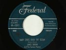 R&B Rocker 45 - James Brown - Baby Cries Over The Ocean - Federal - mp3