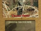 NM METAL LPS - Graveland 