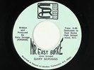 Novelty Break-In 45 - Gary Scruggs - Mr. East Burke - SRC - mp3 - obscure