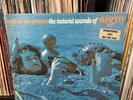 AIRTO Lp Seeds On The Ground PROMO Original Buddah Psych Folk Jazz 1971 Vinyl