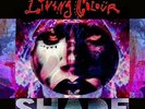 Living Colour - Shade (NEW VINYL LP)