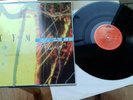 xymox phoenix 12