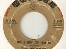 THE PROFILES Take A Giant Step ( Walk On )  GOLDIE  NORTHERN SOUL USA 45
