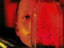 Alice In Chains ?- Jar Of Flies / Sap 2 x LP 180 Gram ETCHED Vinyl Album RECORD