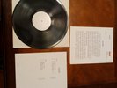 DAVID WERNER WHIZZ KID PROMO AND PRESS RELEASE VINYL Glam Rock Rare