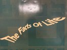 Bass Culture - The Facts Of Life ( 12 “ )