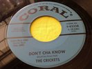 45 : The Crickets   Peggy Sue Got Married   Don't Cha Know   Coral 9-62238
