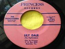 Rare VA Bluegrass 45 : The Highlanders   Ghost Train   Lily Dale   Princess