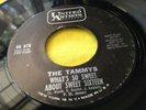 Hear Rare Northern Titty Shaker 45 : The Tammys   Egyptian Shumba   U A 678