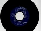 GARAGE 45 RPM - THE BIRDWATCHERS RECORDS