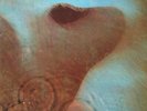 ID7423z - Pink Floyd - Meddle - SHVL 795 - vinyl LP - UK
