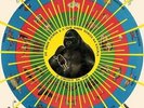 Pedro Santos - Krishnanda - LP Vinyl - New