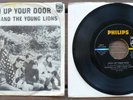 Richard And The Young Lions 45 rpm + picture sleeve, 1966; original owner, NM