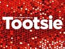 Tootsie Original Broadway Cast Recording [2 LP]