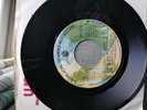 Sex Pistols Rare Canadian press Pretty Vacant