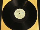 Dion & the Belmonts-A Teenager In Love-1-Sided 78 PROMO RPM Metal Acetate-NM