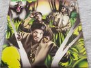 Jungle Brothers - Straight Out Of The Jungle LP-Double Vinyl 1988-VGC-Gee Street