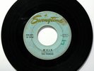TEXAS. THE PANDAS WALK/GIRL FROM NEW YORK CITY 7