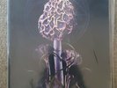 Blut Aus Nord : Hallucinogen VINYL 12