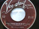RARE  The Goldenrods ?– Wish I Was Back In School / Color Cartoons 1958 DOO WOP