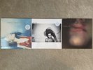 PJ Harvey - Dry To Bring You My Love Rid Of Me LP 180 Vinyl Reissue Bundle New