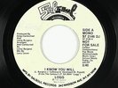 Funk Disco 45 - Logg - I Know You Will - Salsoul - VG+ mp3 - promo