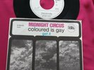 Midnight Circus ** coloured is gay ** get it ** 7