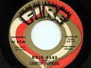 HEAR - Rare Blues 45 - Lightnin' Hopkins - Mojo Hand - Fire # 1034