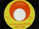 Northern Soul 45 - Jessie James - Are You Gonna Leave Me - Shirley - mp3 - rare